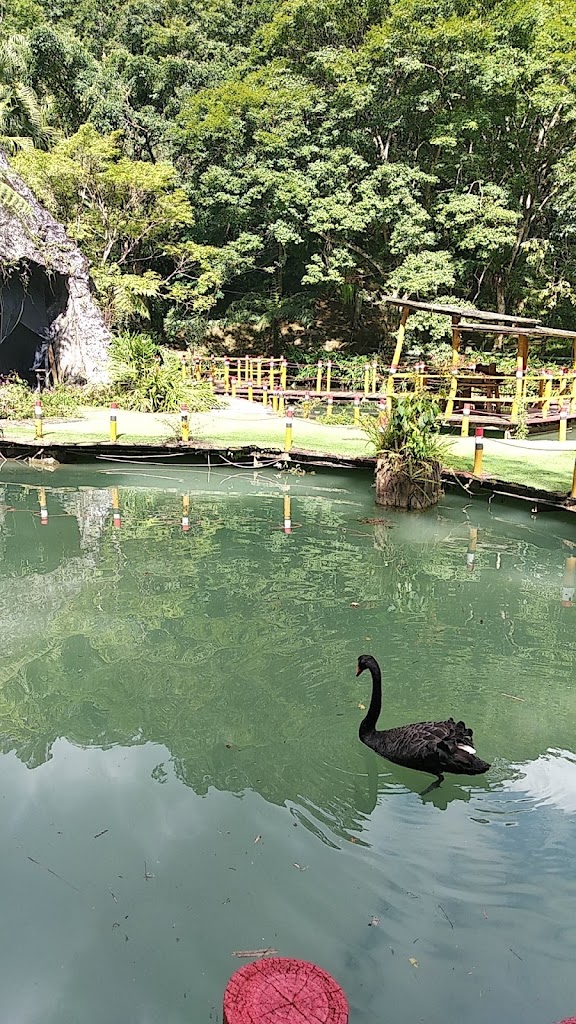 雲仙樂園-西羅岸咖啡 的照片