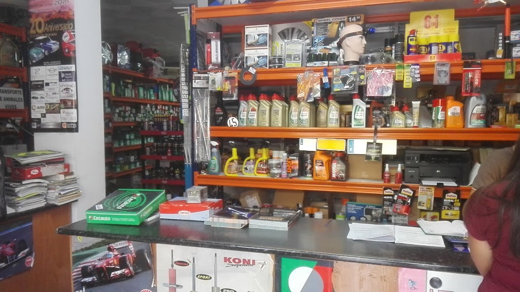 Medialdea Perez Salvador — Interior
