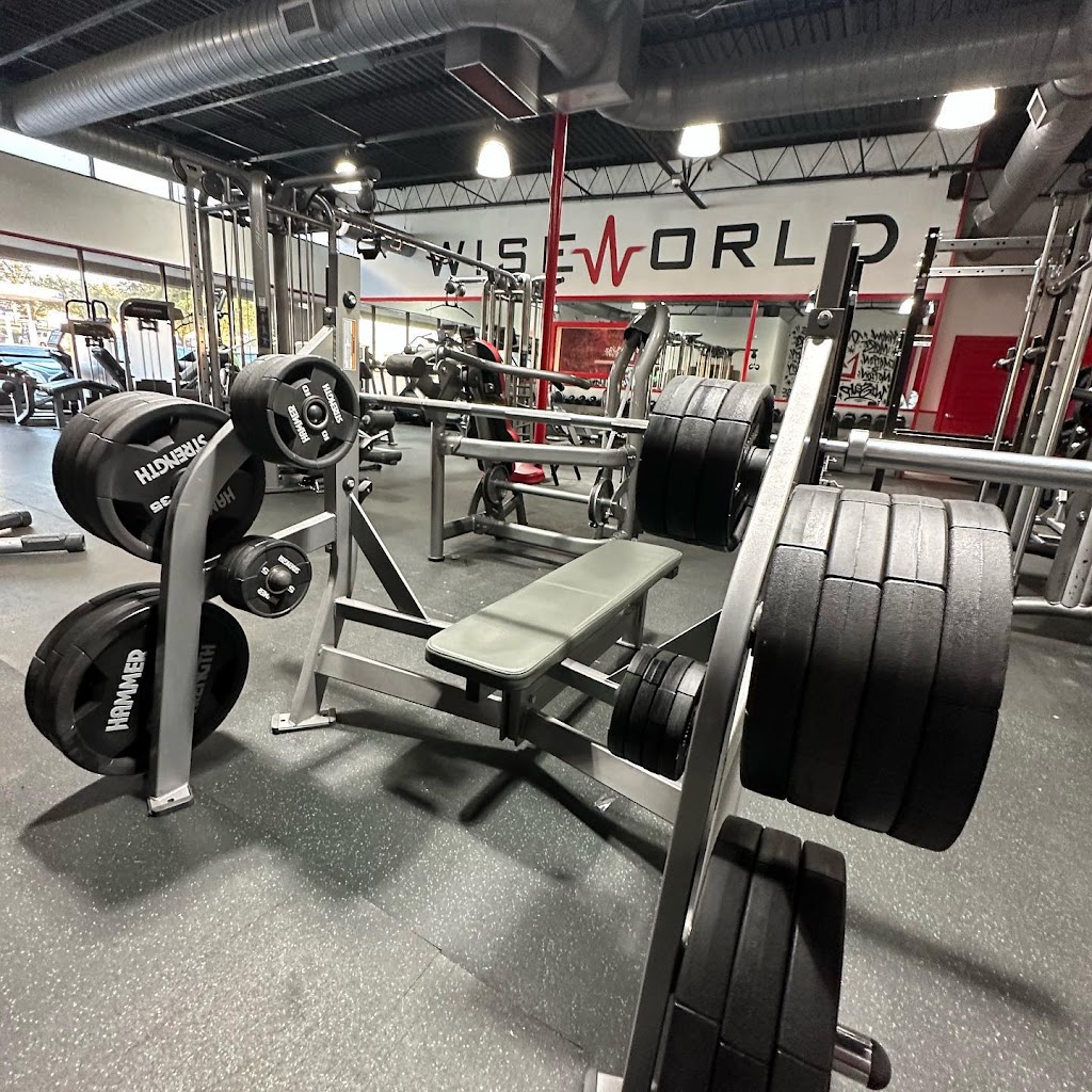  Wise World of Fitness