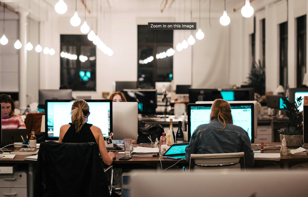 Reptilehaus Digital Agency