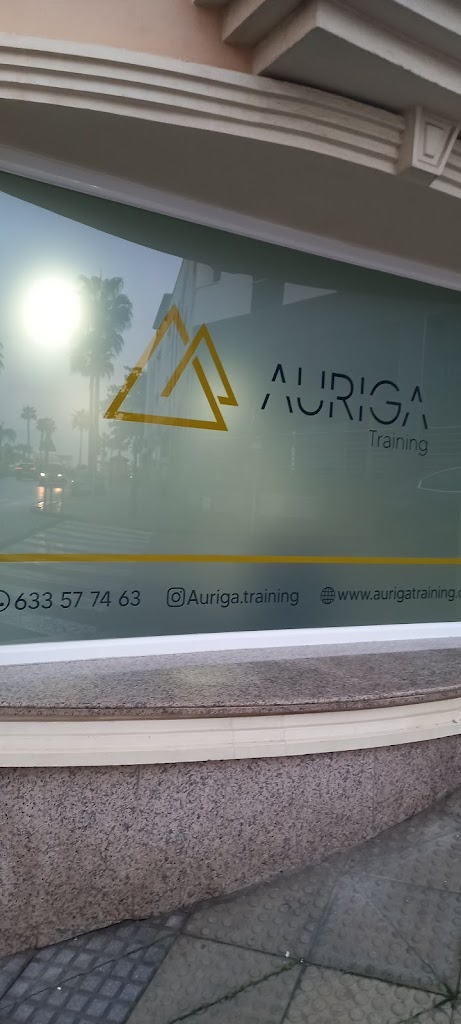 Auriga Training