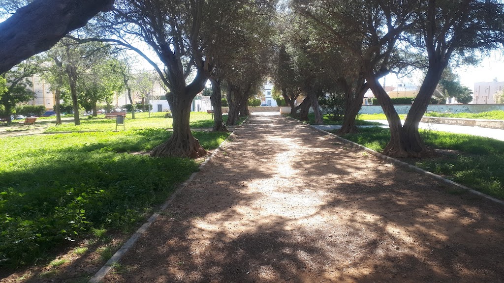 Parque del Gallinero