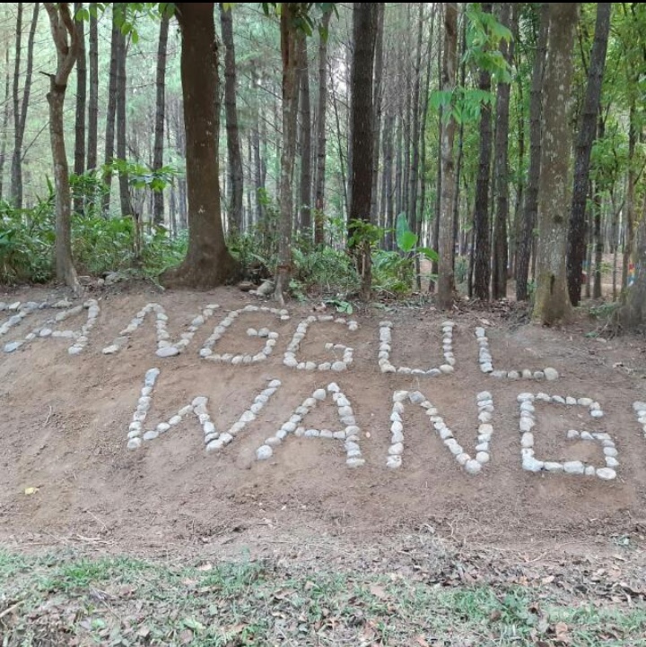Bumi Perkemahan Tanggul Wangi