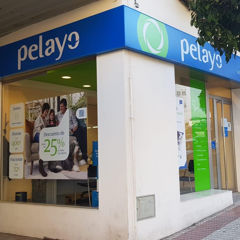 Oficina Seguros Pelayo