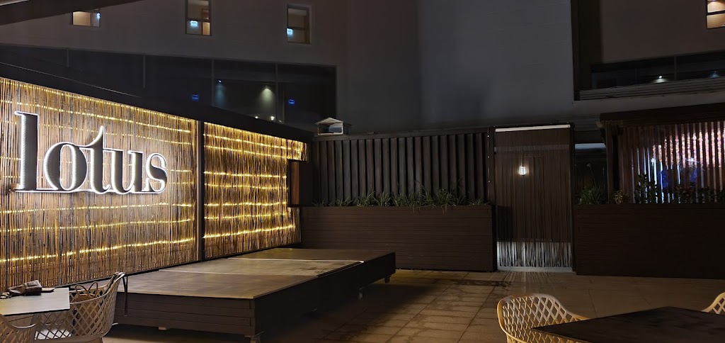 Lotus The Club - La Pineda