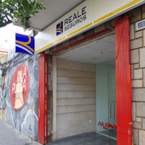 Reale Seguros — Del propietario