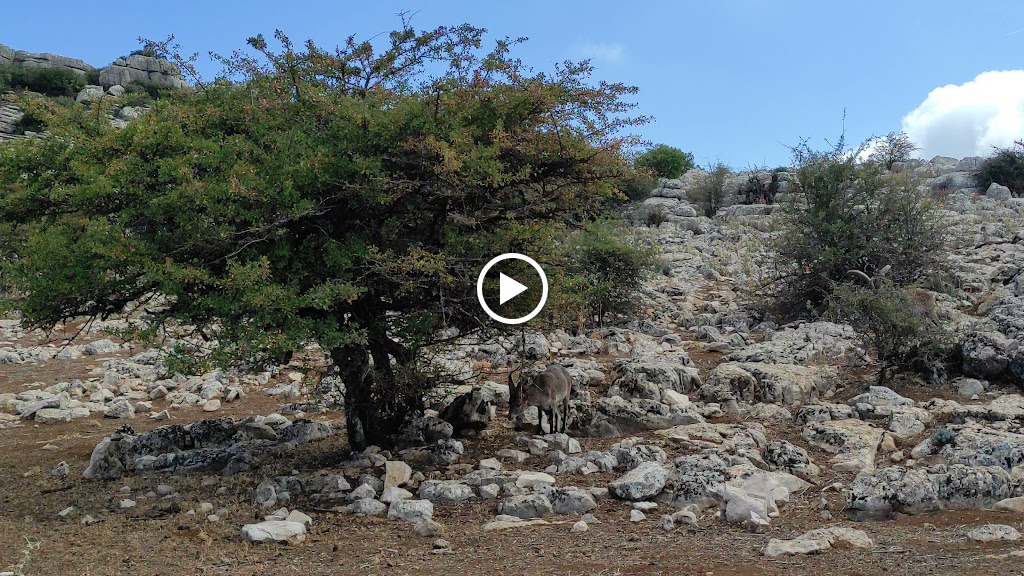 Sima del Chaparro — Videos
