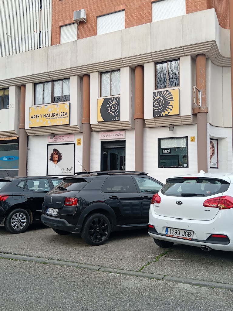 Eva Oliva Estilistas — Mas recientes