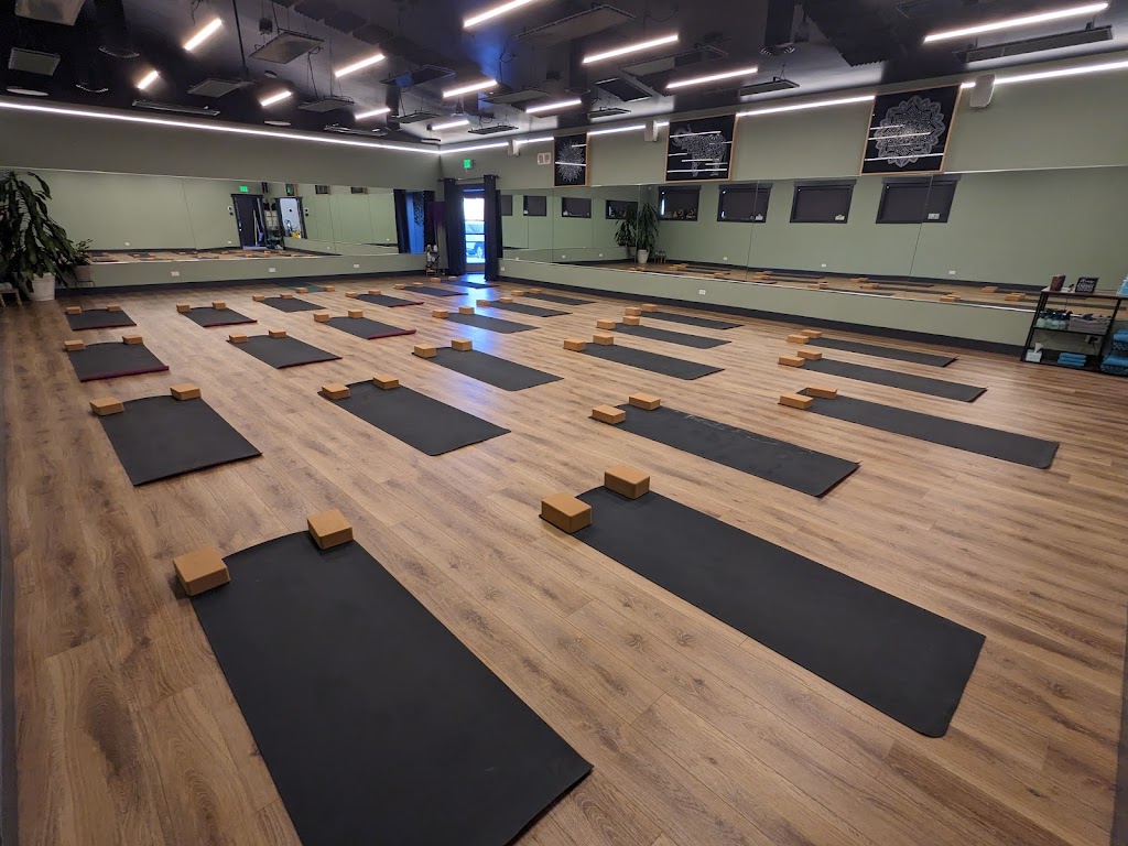  Happi Yogi Windsor CO