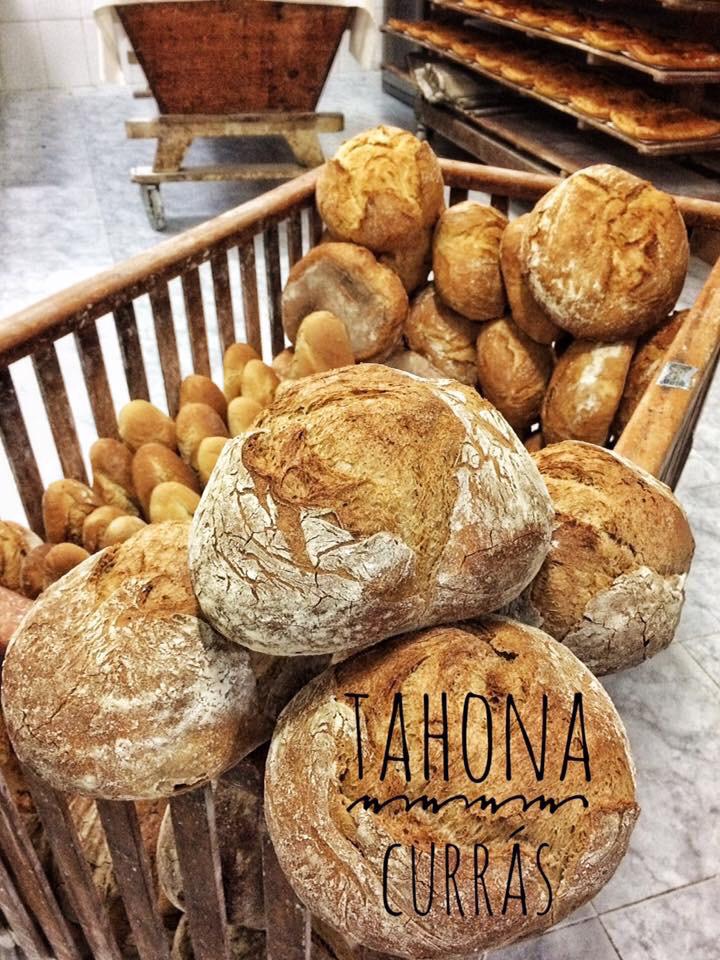 Panaderia Antonia Lodeiro Cendan