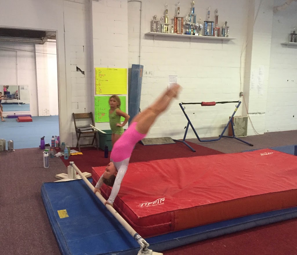  Willow Tree Gymnastics - Latrobe