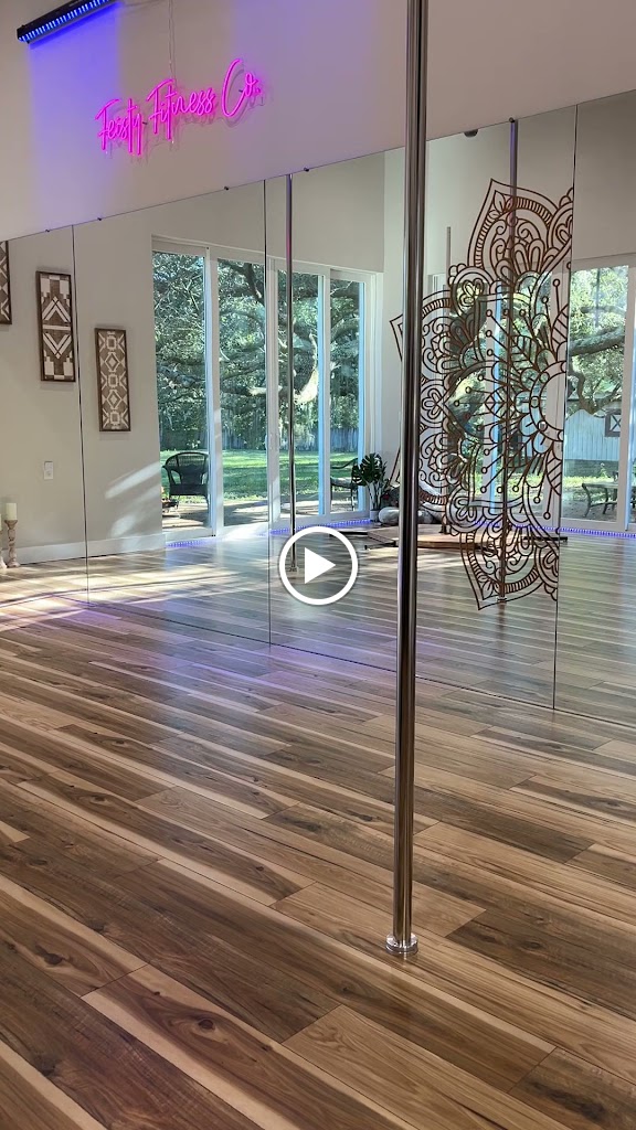  Feisty Fitness Co. Pole & Aerial