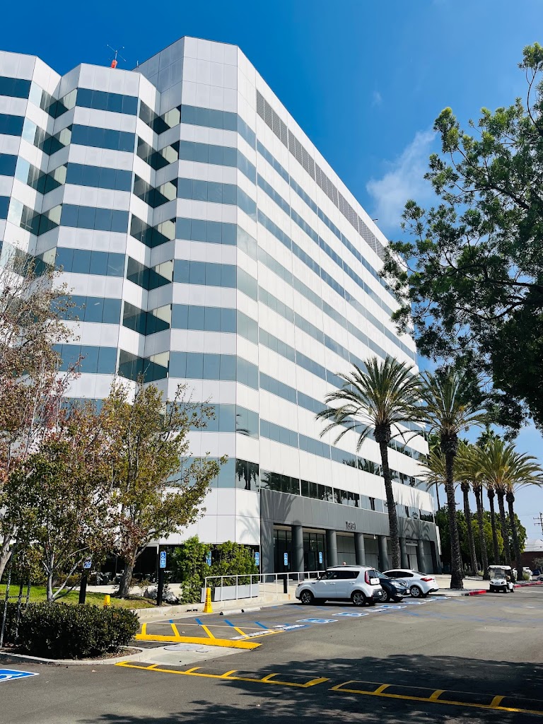 Iij America Inc