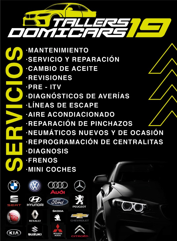 Taller Mecanico Domicars19 — Del propietario