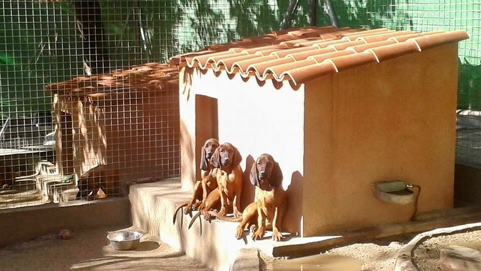 Residencia Canina El Tomillar