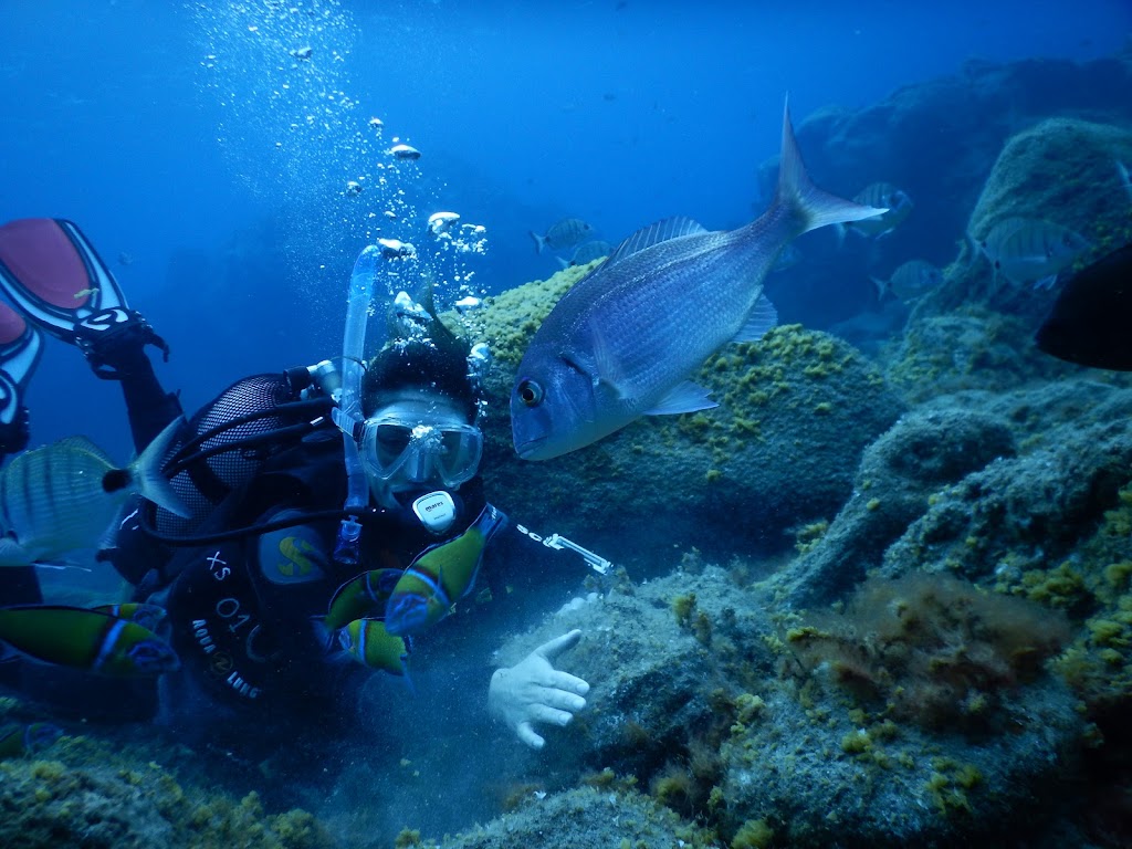 Buceo Sur Gran Canaria