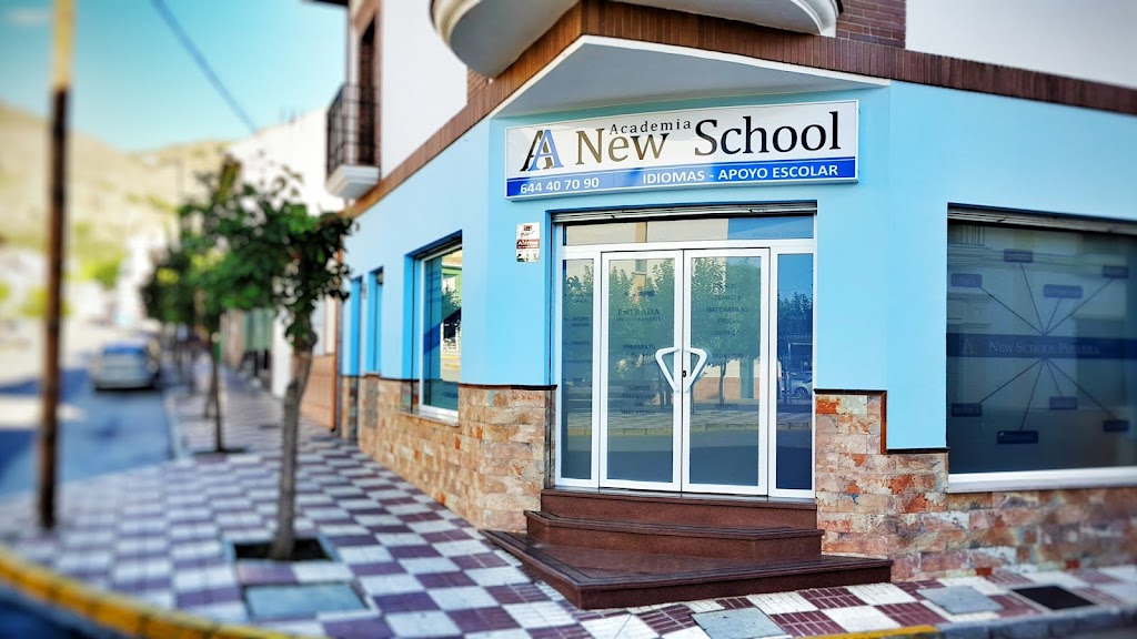 Academia New School Pizarra