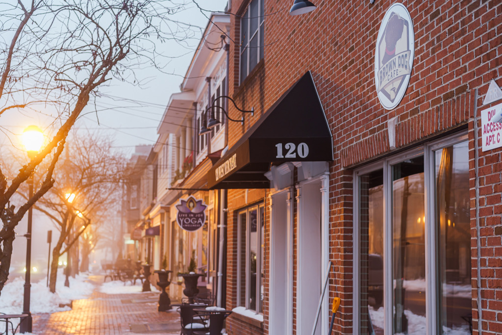Photo of Brown Dog Cafe