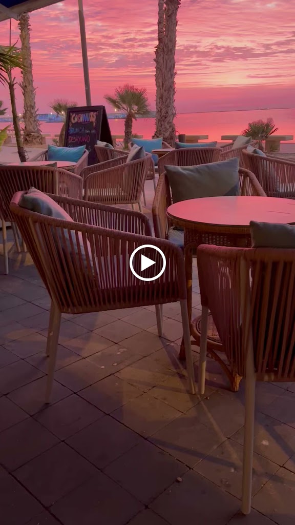 Coconuts — Ambiente
