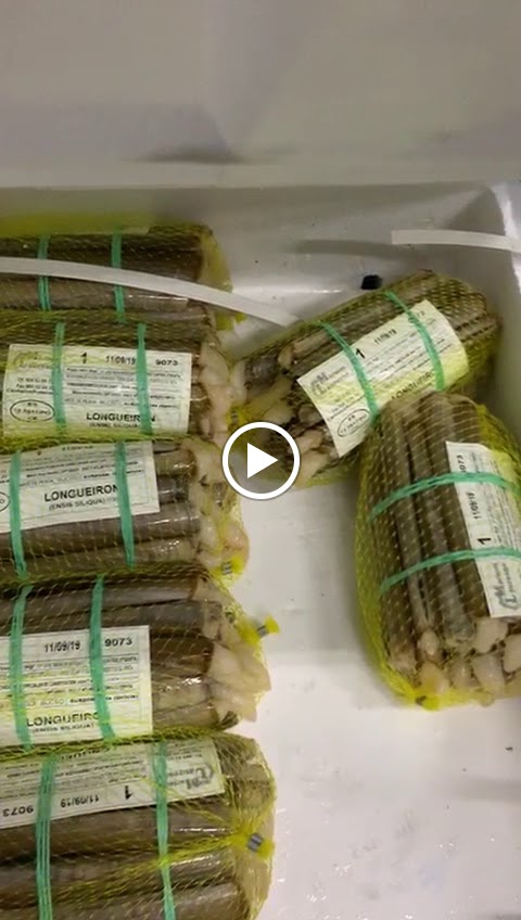 Ca La Gallega — Videos