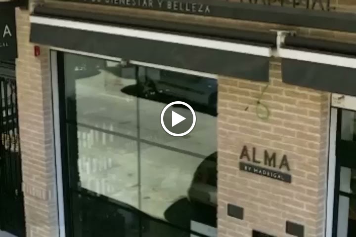 ALMA BY MADRIGAL — Del propietario