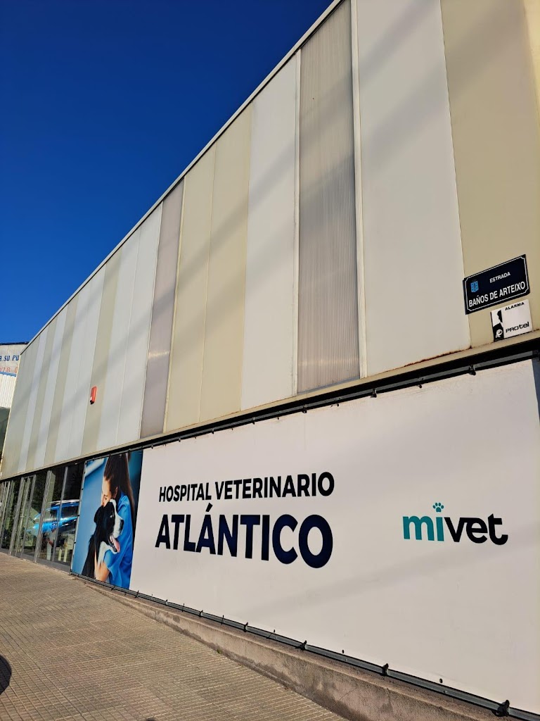 Hospital Veterinario Atlantico | MiVet