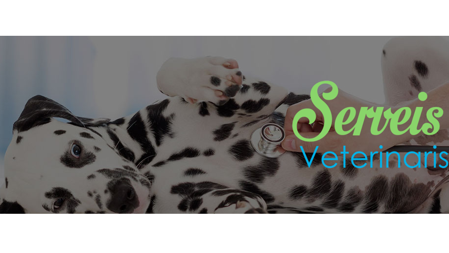 Serveis Veterinaris Baix Llobregat