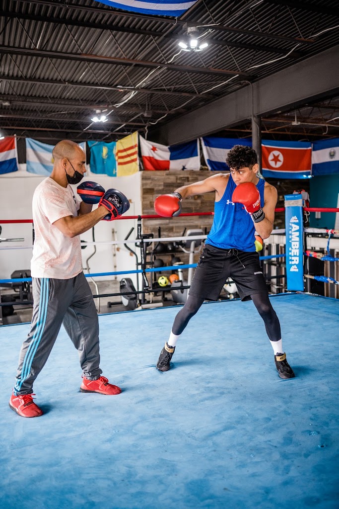  0 TO 100 Boxing Club