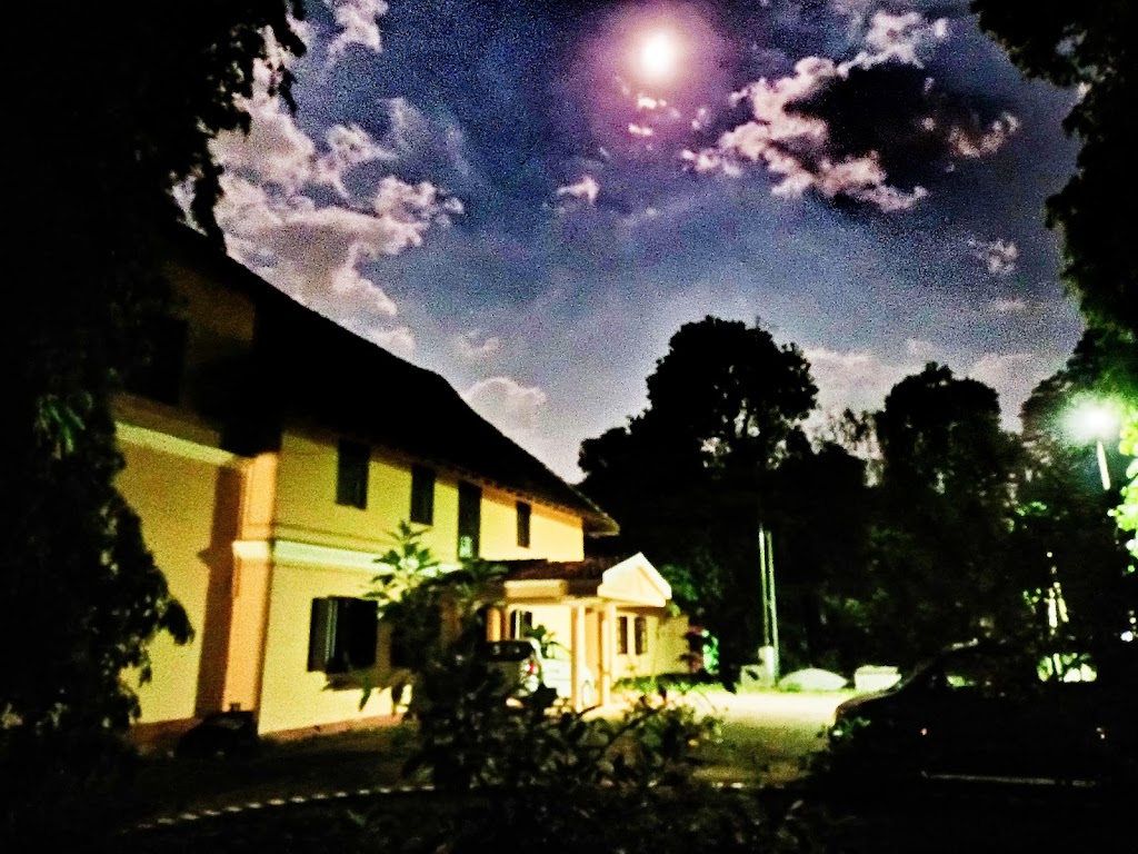 Aluva Palace