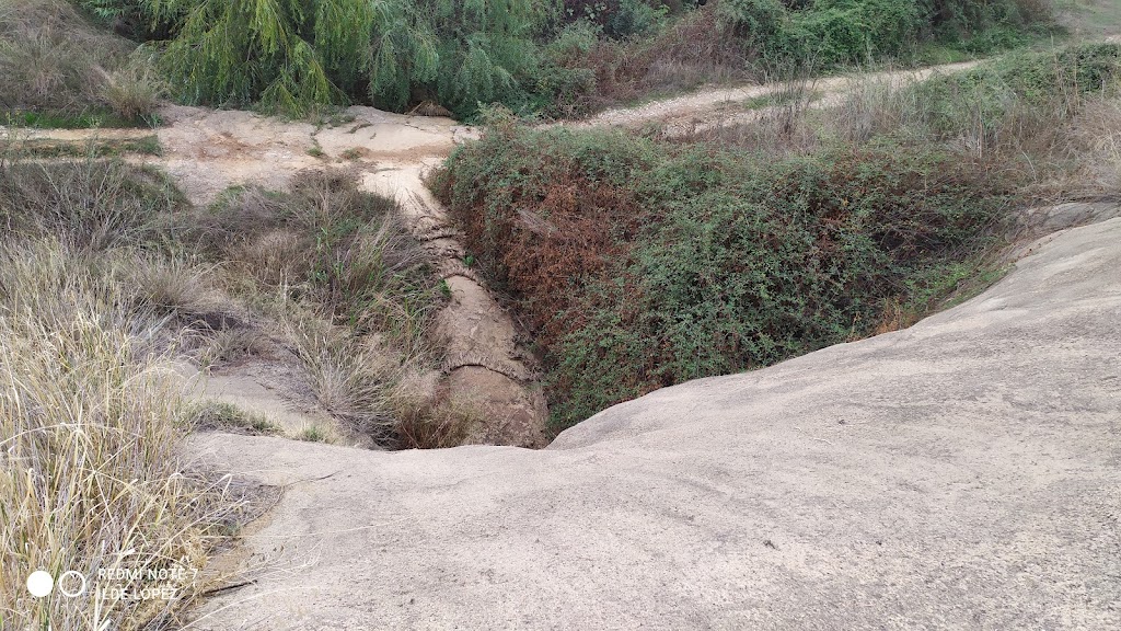 Salto de la mula