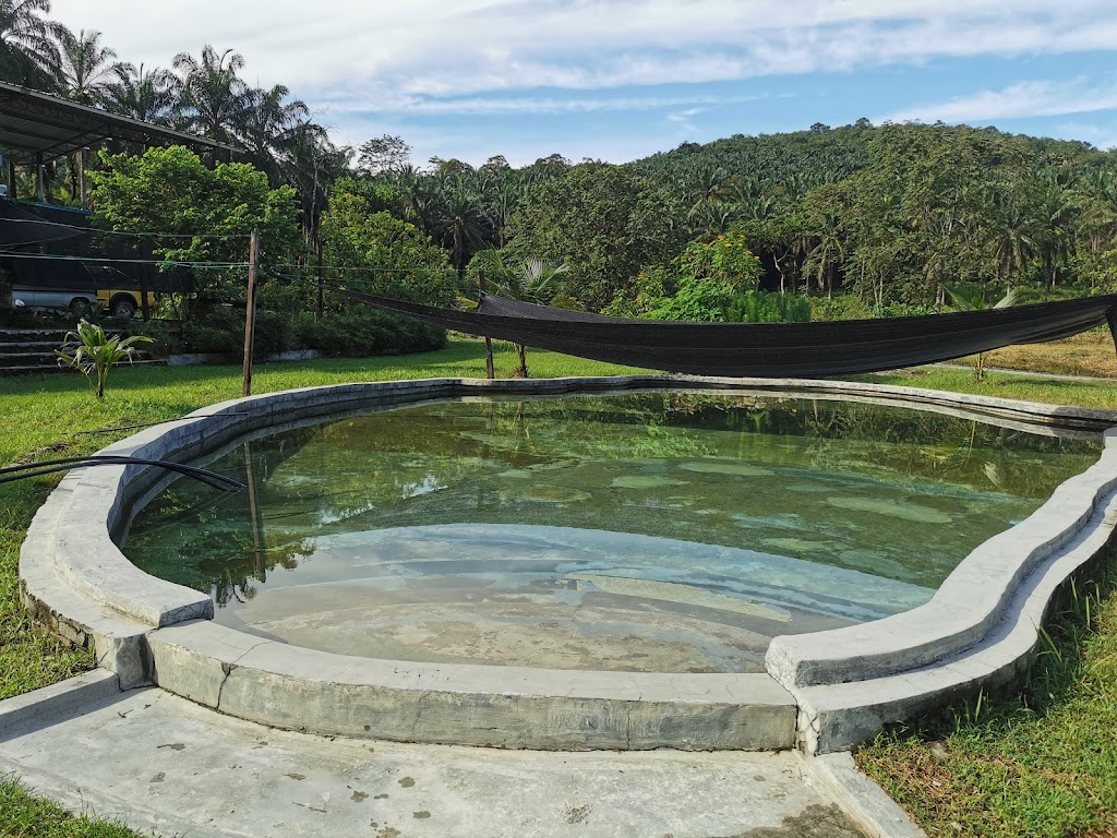 2K Hotspring campsite