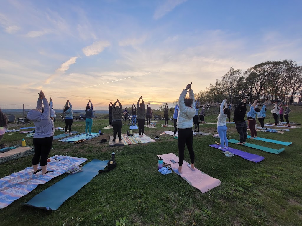  Nourished Roots Yoga