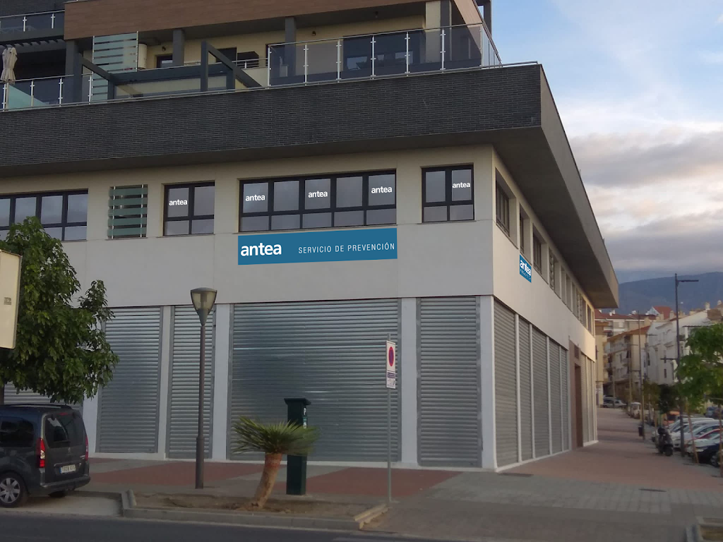 Antea Prevencion Riesgos Laborales y Vigilancia de la Salud