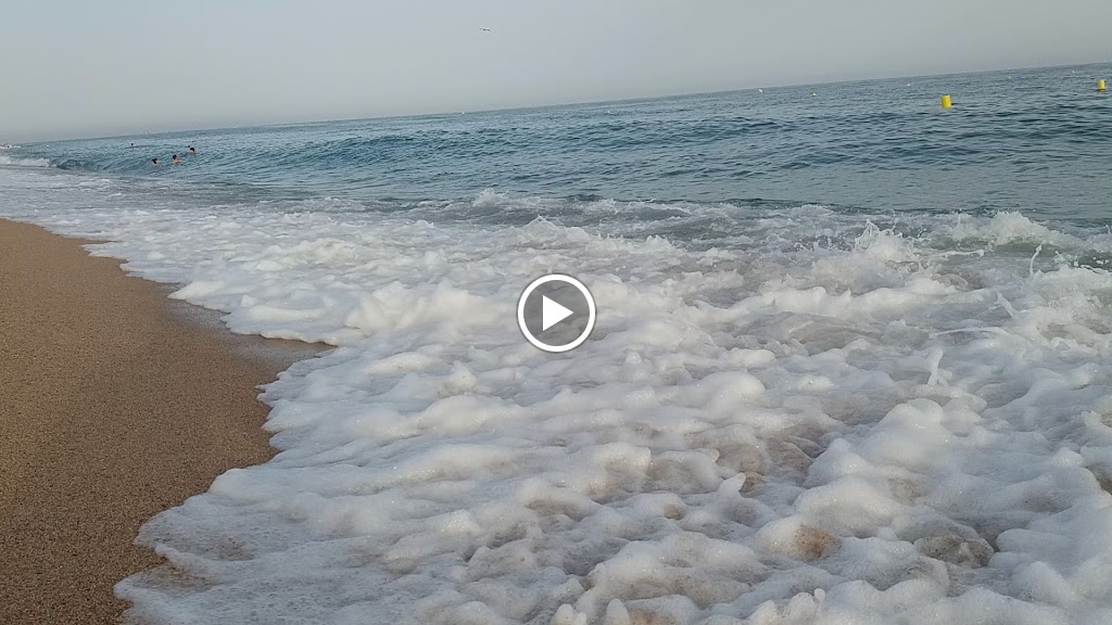 Bahari Club — Videos