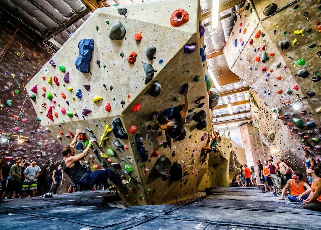  Vertical Hold Rock Climbing Gym