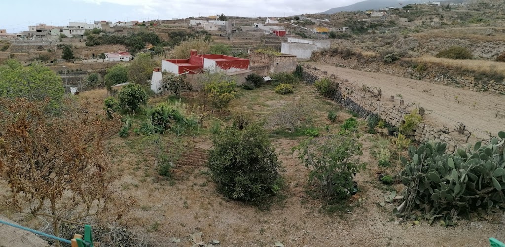 Finca Cirilo, Nico, Candy Y Mary