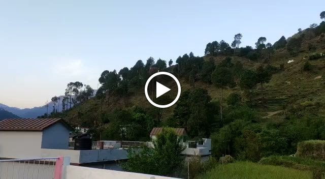 Videos