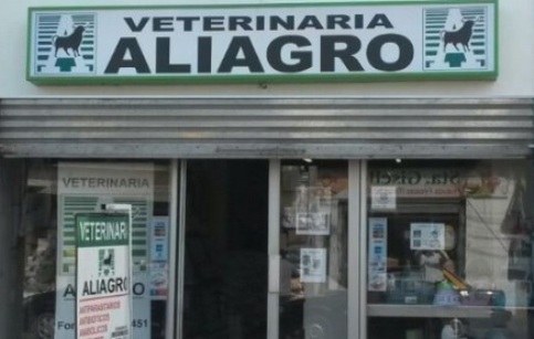 Aliagro, San Carlos en San Carlos