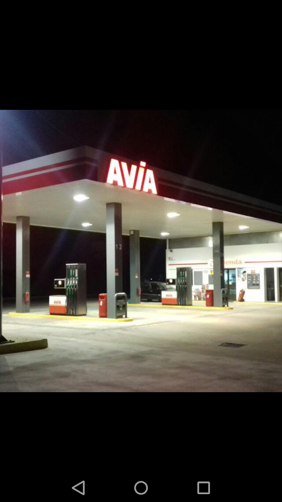 E.S. Alfar Entre Terminos S.L. — Surtidor de combustible