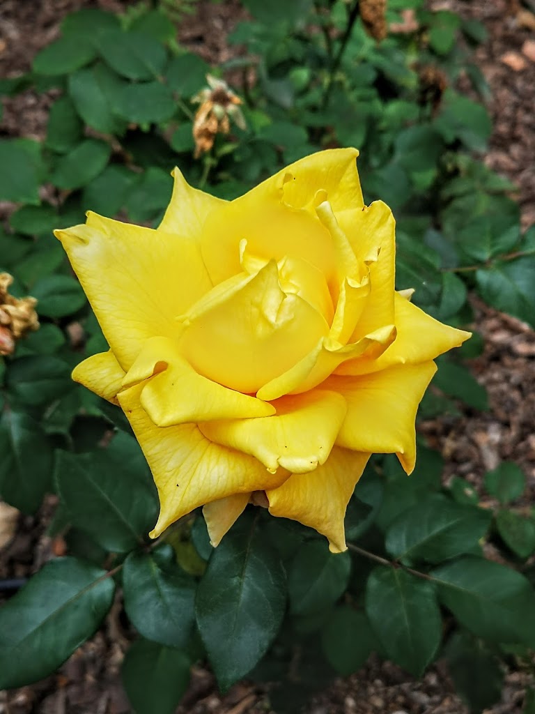 Jardin Jorge Guillen