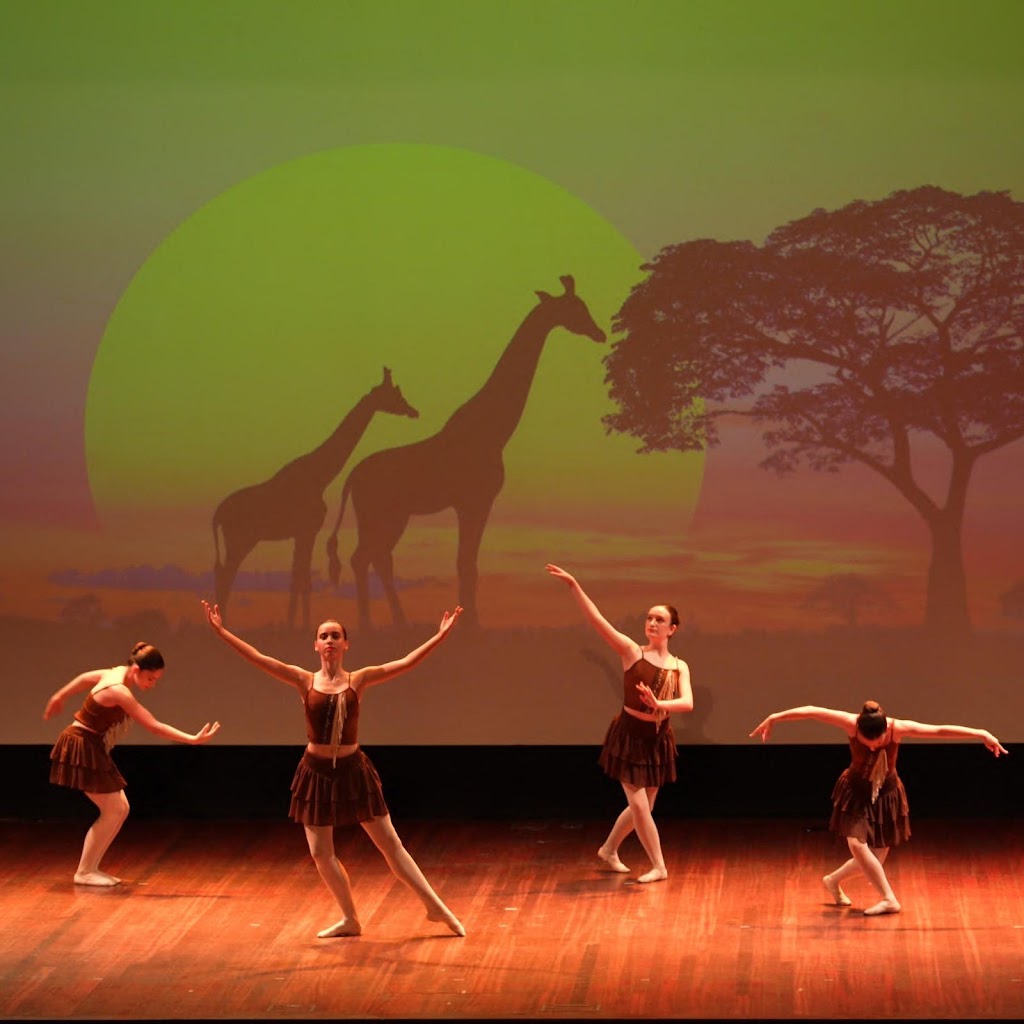 Danza Susana Castro - Escuela de Ballet en Vigo — Del propietario