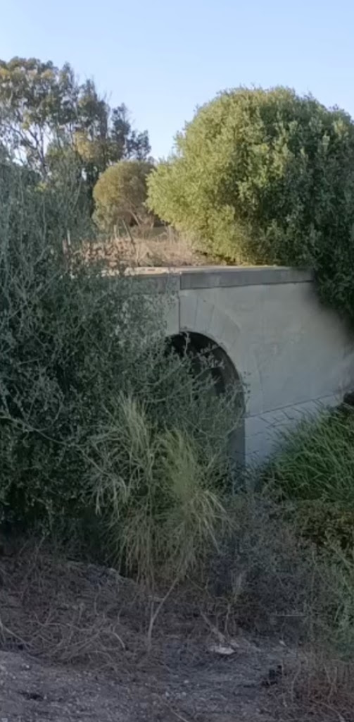 Antiguo tunel del tren
