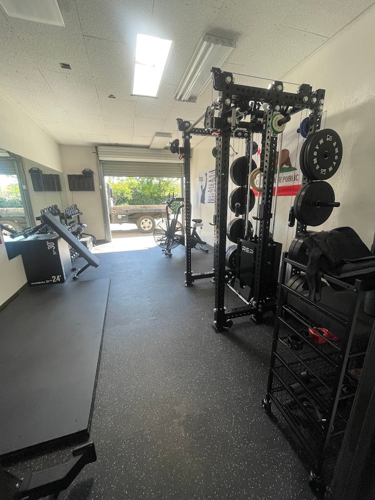  Plank Fitness and Performance