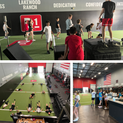  D1 Training Lakewood Ranch