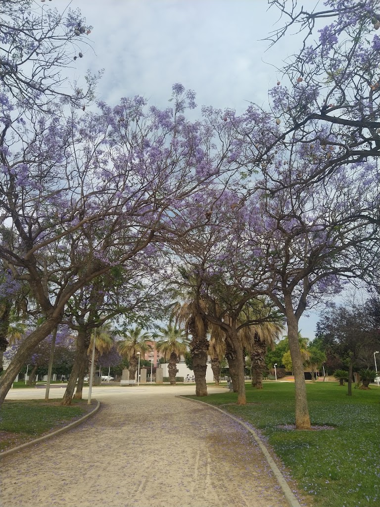 Parque Paluzie