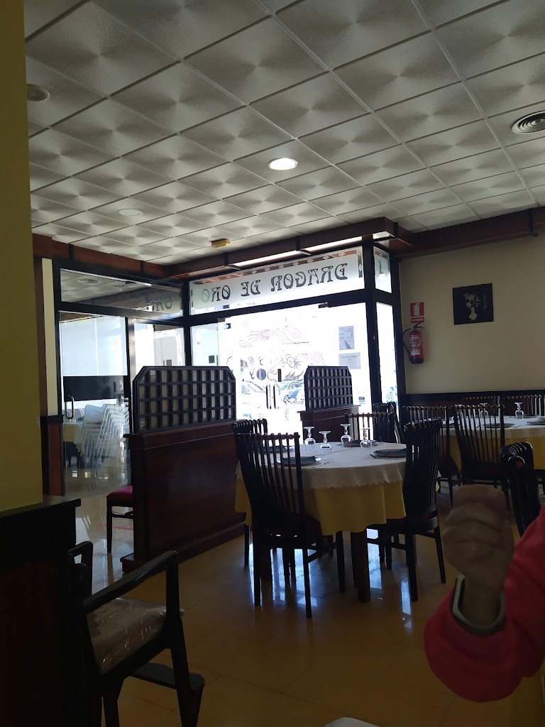 DRAC D'OR — Ambiente