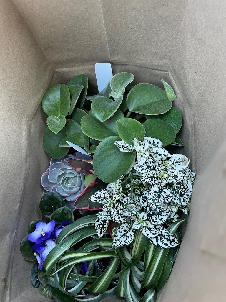 Genrich's Florist & Greenhouse