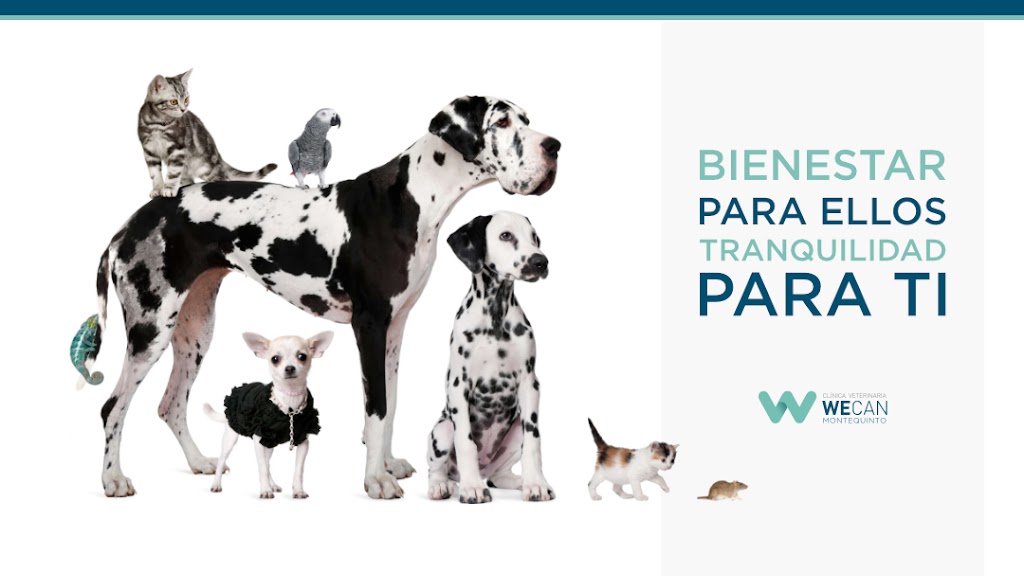 Clinica Veterinaria Wecan Montequinto