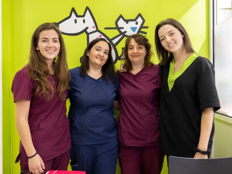 Centre Veterinari Sant Roc