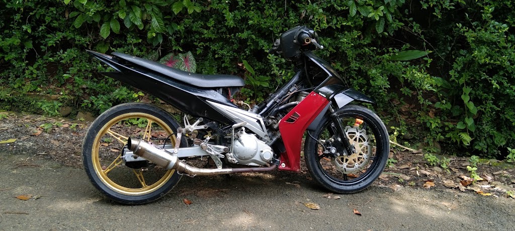 PMS Motor